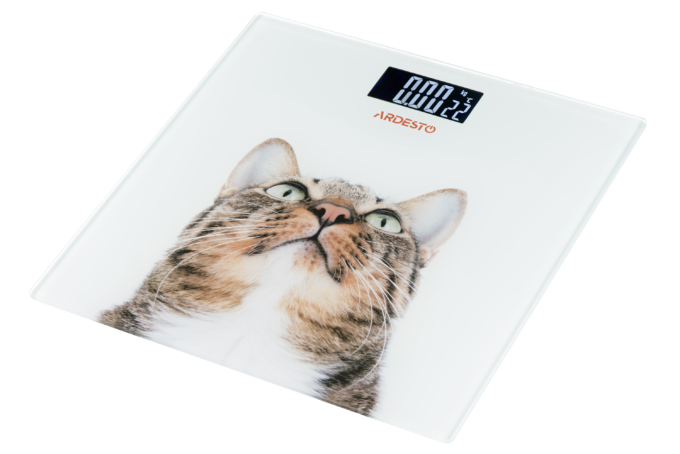 Ardesto scales for floor Cat, 150kg, AAAx2 included, glass, multi-colored