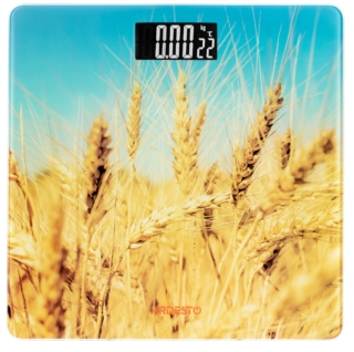Ваги Ardesto підлогові Wheat, 150кг, AAAx2 в комплекті, скло, багатокольорові