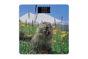 Весы Ardesto напольные Marmot, 150кг, AAAx2 в компл, стекло, многоцветные