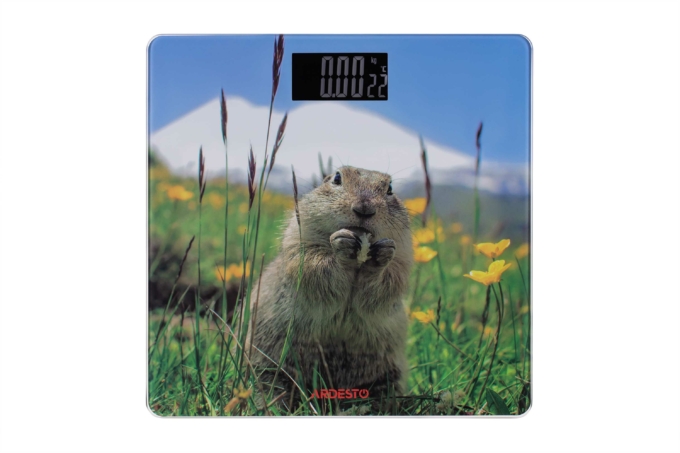 Весы Ardesto напольные Marmot, 150кг, AAAx2 в компл, стекло, многоцветные