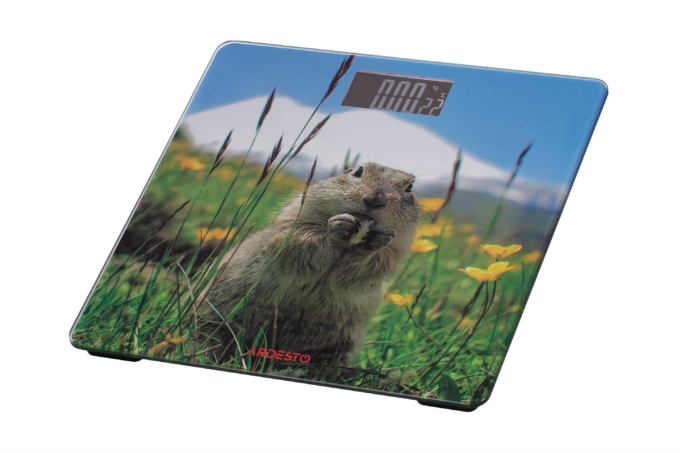 Весы Ardesto напольные Marmot, 150кг, AAAx2 в компл, стекло, многоцветные