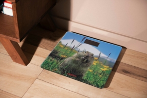 Весы Ardesto напольные Marmot, 150кг, AAAx2 в компл, стекло, многоцветные