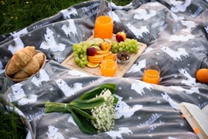 Плед Ardesto Flannel, 160х200см, 100% полиэстер, ламы