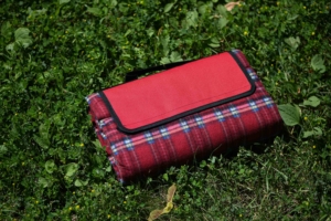 Blanket Ardesto Picnic 130х170cm, 100% polyester, red tartan