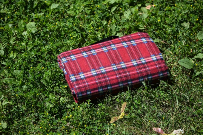 Blanket Ardesto Picnic 130х170cm, 100% polyester, red tartan
