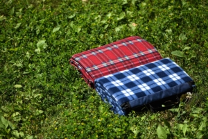 Blanket Ardesto Picnic 130х170cm, 100% polyester, red tartan