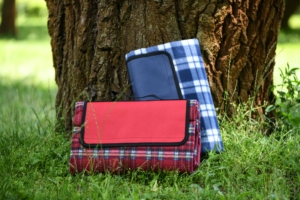 Blanket Ardesto Picnic 130х170cm, 100% polyester, red tartan