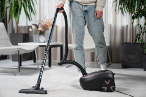 Vacuum cleaner Ardesto VC-I-B800GB