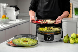 Dryer for products Ardesto FDB-532TTC, 250W, pallets -5x3cm, diameter-32cm, max-70°С, timer, electronic control, plastic, white