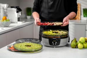 Dryer for products Ardesto FDB-532TTC, 250W, pallets -5x3cm, diameter-32cm, max-70°С, timer, electronic control, plastic, white