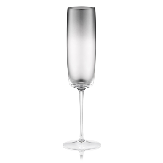 Champagne glasses set ARDESTO Black Mars Mira 270ml, 2pcs, glass, grey