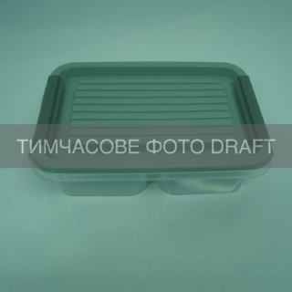 Two-section food storage container ARDESTO Fresh 2×0.25l, plastic, rectangular, grey