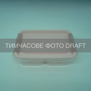 Two-section food storage container ARDESTO Fresh 2×0.25l, plastic, rectangular, pink