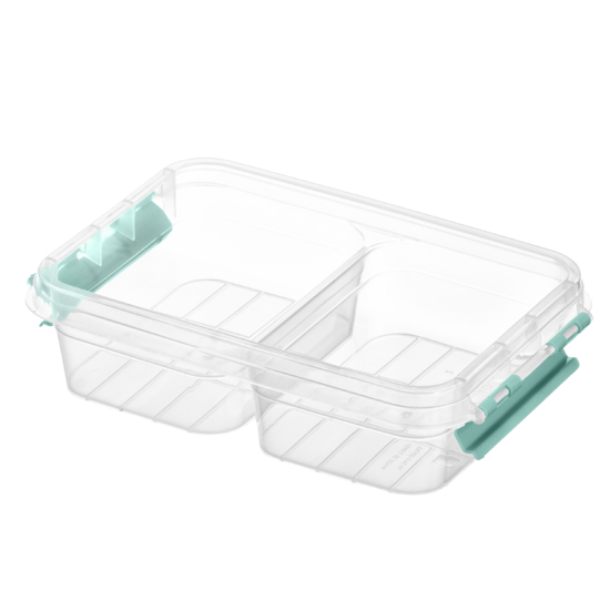Two-section food storage container ARDESTO Fresh 2×0.25l, plastic, rectangular, blue