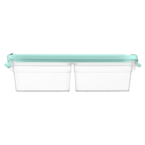 Two-section food storage container ARDESTO Fresh 2×0.25l, plastic, rectangular, blue