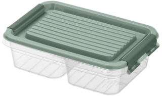 Two-section food storage container ARDESTO Fresh 2×0.25l, plastic, rectangular, green