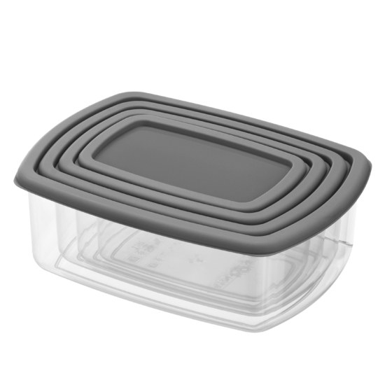 Set of food storage containers ARDESTO Fresh 0.25/0.5/0.75/1.2l, plastic, rectangular, grey