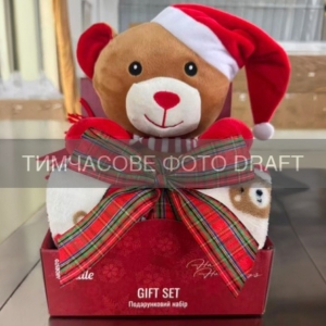 ARDESTO Set Christmas Bear 2 items: blanket 90x75cm, decor. toy 24cm, 100% polyester, brown