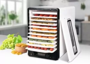 Сушарка для продуктів Ardesto 550Вт, піддонів – 10+1×3см, макс – 70°С, сітка для ягід, пластик, білий