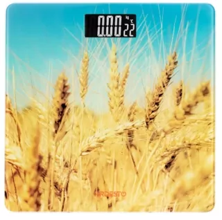 Ваги Ardesto підлогові Wheat, 150кг, AAAx2 в комплекті, скло, багатокольорові