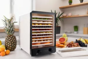 Сушарка для продуктів Ardesto 550Вт, піддонів – 10+1×3см, макс – 70°С, сітка для ягід, пластик, білий