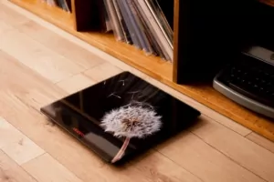 Весы Ardesto напольные BL, 150кг, AAAx2 в компл, стекло, многоцветные