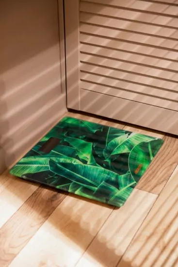 Ardesto scales for floor Leaves.150kg, AAAx2 included, glass, multi-colored