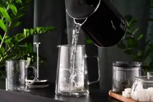 Ardesto Double wall french press Black Mars, 600ml, borosilicate glass, stainless steel, transparent