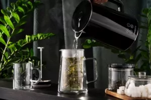 Ardesto Double wall french press Black Mars, 600ml, borosilicate glass, stainless steel, transparent