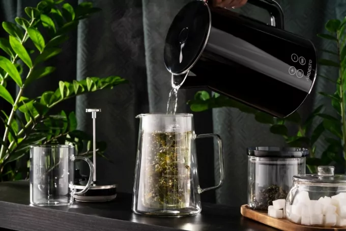Ardesto Double wall french press Black Mars, 600ml, borosilicate glass, stainless steel, transparent