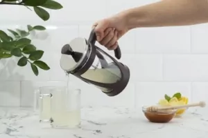 French press ARDESTO Gemini AR1906PG