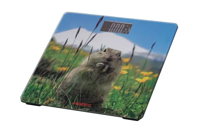 Весы Ardesto напольные Marmot, 150кг, AAAx2 в компл, стекло, многоцветные