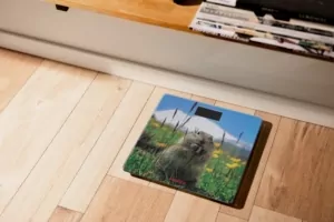 Весы Ardesto напольные Marmot, 150кг, AAAx2 в компл, стекло, многоцветные