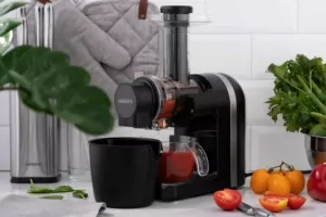 Ardesto auger juicer, 200W, bowl-0.6L, cake-0.7L, plastic/iron, black-silver