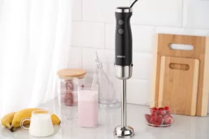 Блендер Ardesto погружной 600Вт, чаша-600мл, венчик для взбивания, черно-серебристый