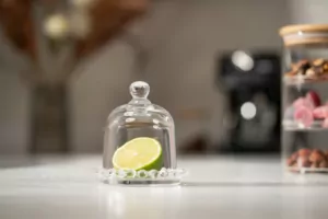 Лимонница с крышкой Ardesto, 9см, стекло, прозрачный