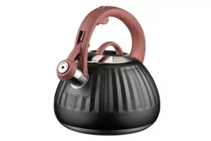 Ardesto Kettle Gemini, 2.5l, stainless steel, black