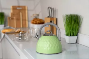 Чайник Ardesto Gemini, 2.5л, нержавеющая сталь, зеленый