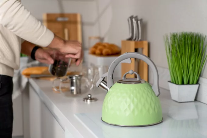 Чайник Ardesto Gemini, 2.5л, нержавеющая сталь, зеленый