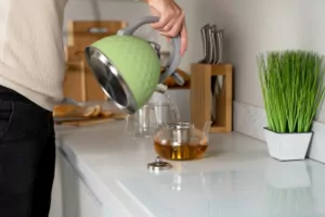 Чайник Ardesto Gemini, 2.5л, нержавеющая сталь, зеленый