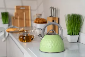 Чайник Ardesto Gemini, 2.5л, нержавеющая сталь, зеленый