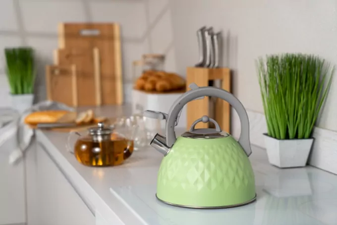 Чайник Ardesto Gemini, 2.5л, нержавеющая сталь, зеленый