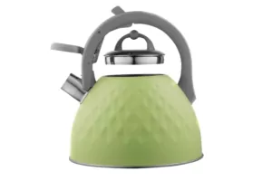 Чайник Ardesto Gemini, 2.5л, нержавеющая сталь, зеленый