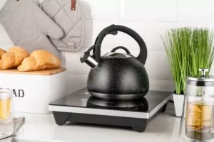 Ardesto Kettle Gemini, 2.5l, stainless steel, black