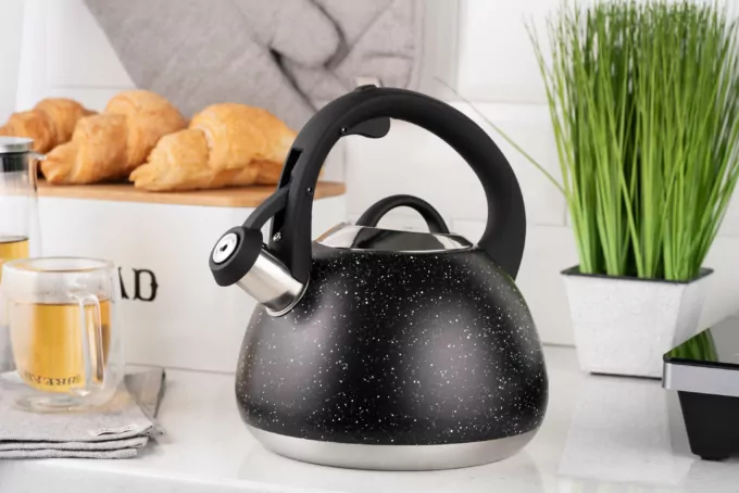Ardesto Kettle Gemini, 2.5l, stainless steel, black
