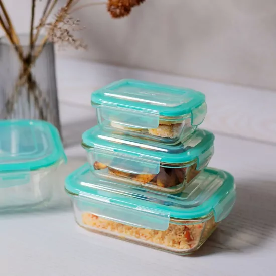 ARDESTO Food Storage Container Gemini 1l AR1210RB