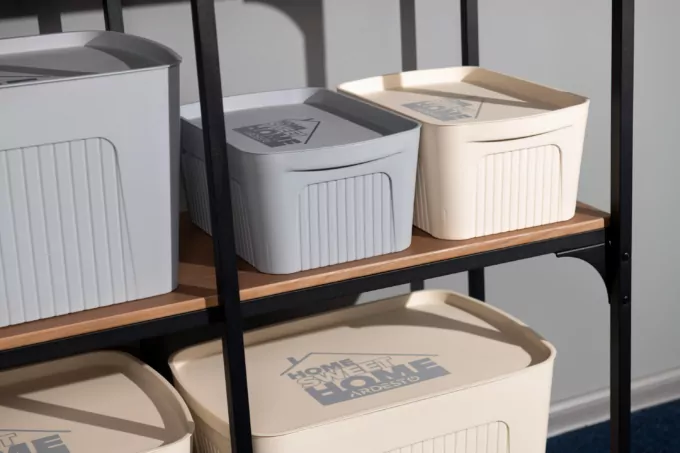 Ящик с крышкой для хранения ARDESTO 32х21.5х14см, 6л, пластик PP, бежевый