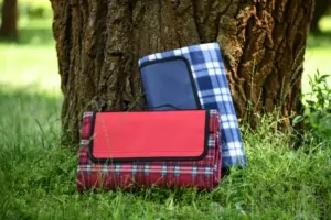 Плед Ardesto Picnic 130х170см, 100% поліестер, клітинка червоний