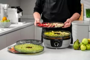 Сушарка для продуктів  Ardesto FDB-532TTC, 250Вт, піддонів -5×3см, діаметр-32см, макс-70°С, таймер, електр. управління, пластик , білий