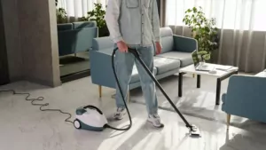 Ardesto steam cleaner, 2000W, 1500ml, 4Bar, white+blue